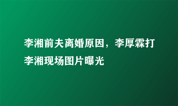 李湘前夫离婚原因，李厚霖打李湘现场图片曝光 