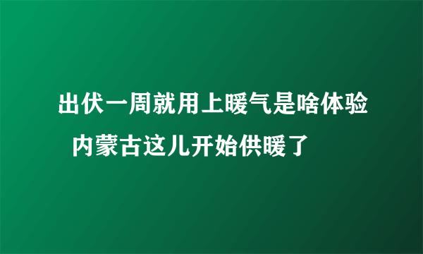 出伏一周就用上暖气是啥体验  内蒙古这儿开始供暖了