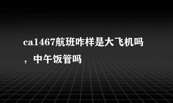 ca1467航班咋样是大飞机吗，中午饭管吗