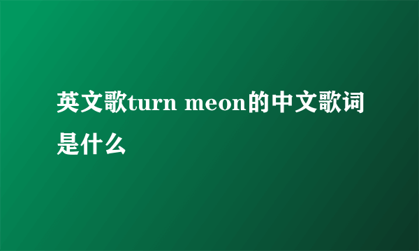 英文歌turn meon的中文歌词是什么