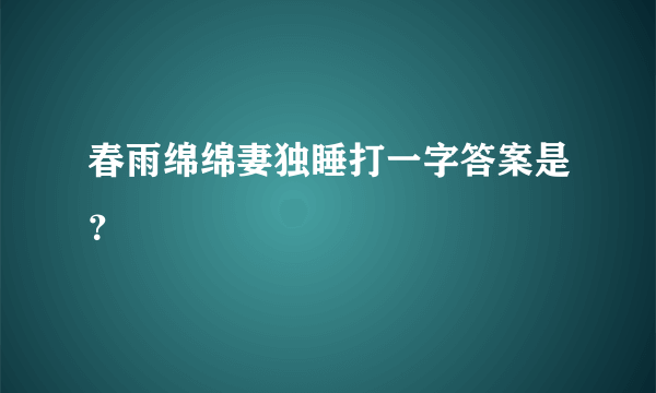 春雨绵绵妻独睡打一字答案是？