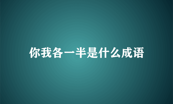 你我各一半是什么成语