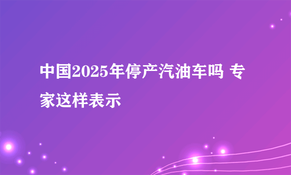 中国2025年停产汽油车吗 专家这样表示