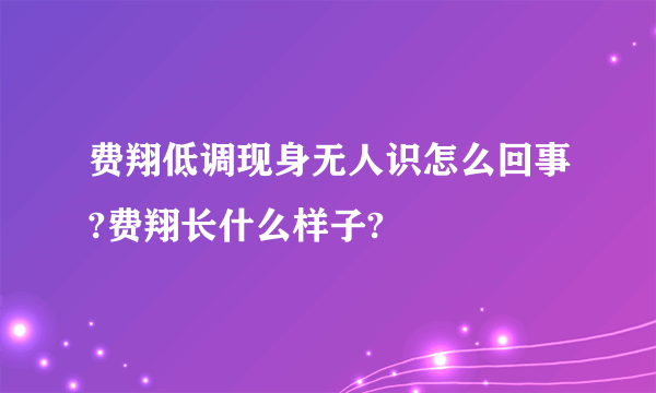 费翔低调现身无人识怎么回事?费翔长什么样子?