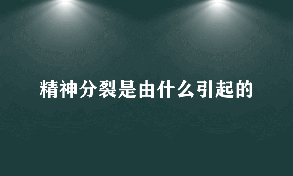 精神分裂是由什么引起的