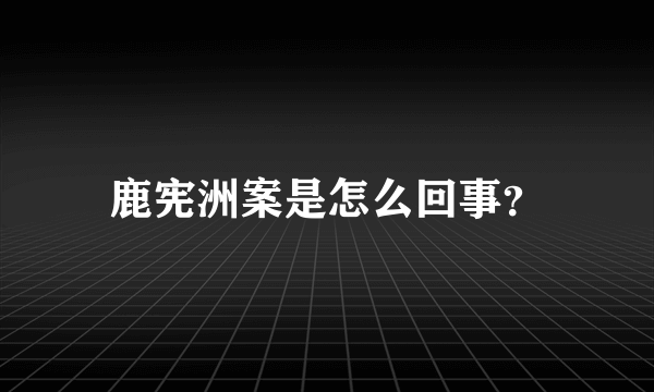 鹿宪洲案是怎么回事？