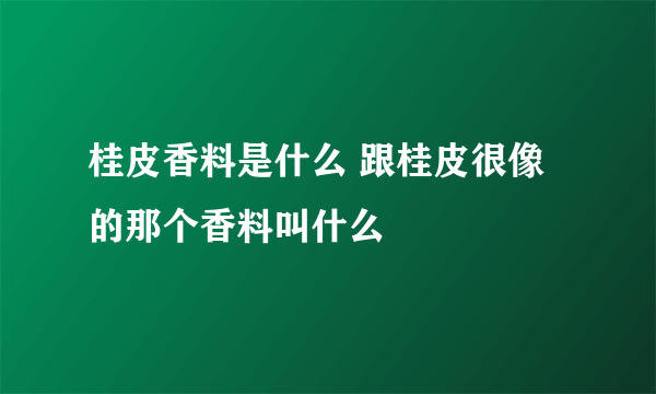 桂皮香料是什么 跟桂皮很像的那个香料叫什么