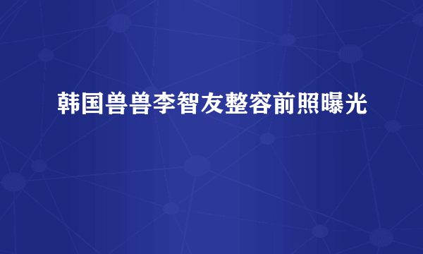 韩国兽兽李智友整容前照曝光