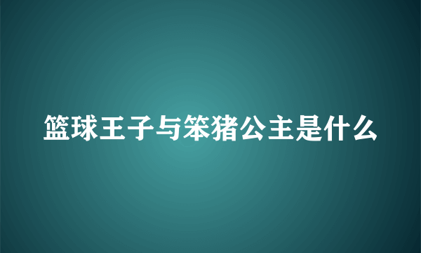 篮球王子与笨猪公主是什么