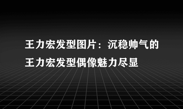 王力宏发型图片：沉稳帅气的王力宏发型偶像魅力尽显