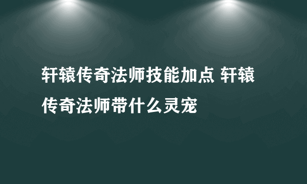 轩辕传奇法师技能加点 轩辕传奇法师带什么灵宠