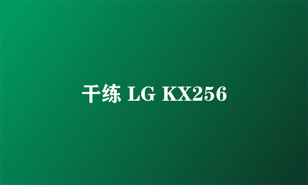 干练 LG KX256