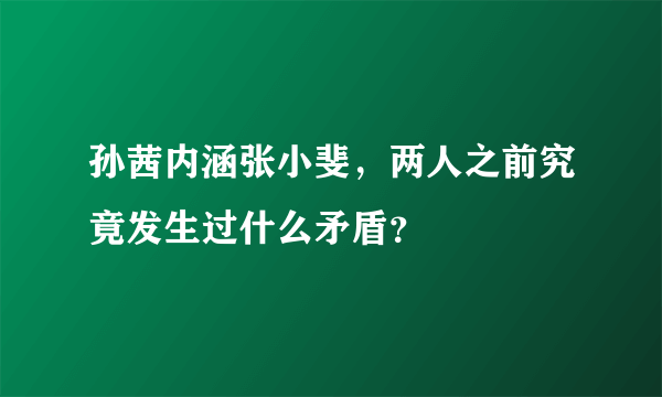 孙茜内涵张小斐，两人之前究竟发生过什么矛盾？