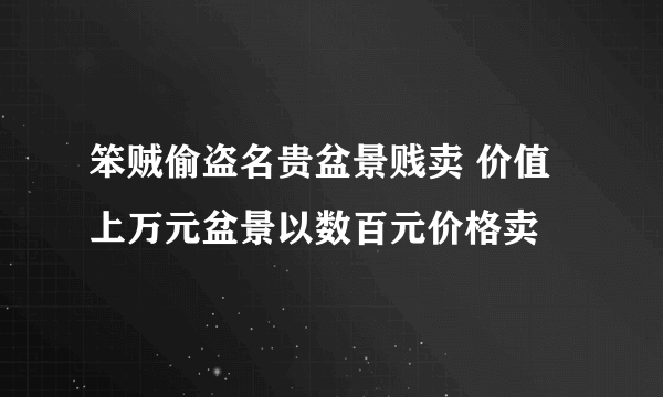 笨贼偷盗名贵盆景贱卖 价值上万元盆景以数百元价格卖