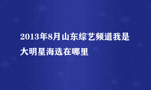 2013年8月山东综艺频道我是大明星海选在哪里