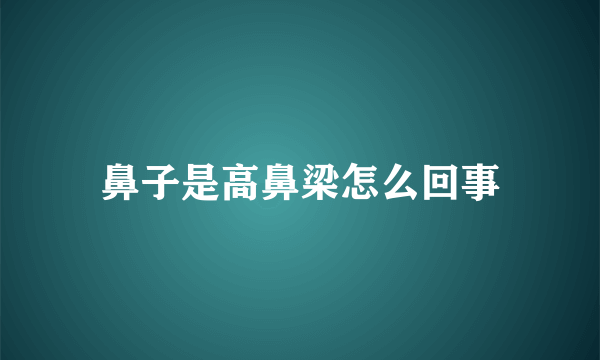 鼻子是高鼻梁怎么回事