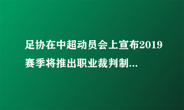 足协在中超动员会上宣布2019赛季将推出职业裁判制度，你觉得这样能避免黑哨？