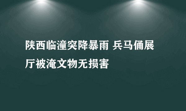 陕西临潼突降暴雨 兵马俑展厅被淹文物无损害