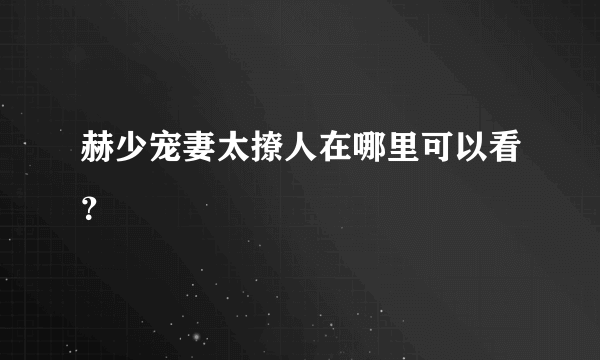 赫少宠妻太撩人在哪里可以看？