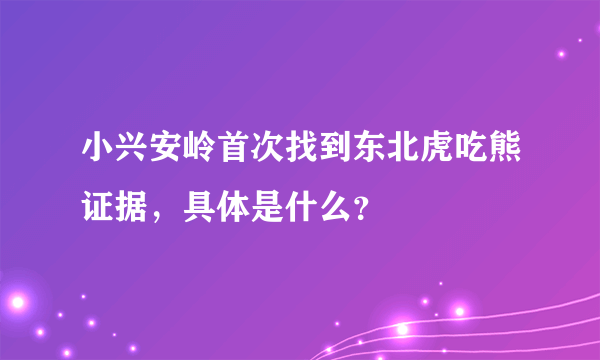 小兴安岭首次找到东北虎吃熊证据，具体是什么？