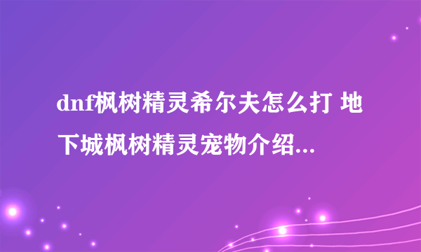 dnf枫树精灵希尔夫怎么打 地下城枫树精灵宠物介绍  科普