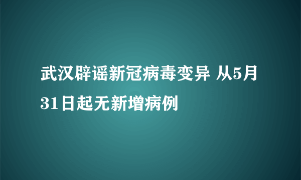 武汉辟谣新冠病毒变异 从5月31日起无新增病例