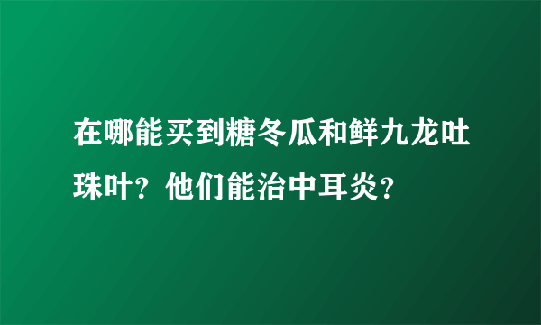 在哪能买到糖冬瓜和鲜九龙吐珠叶？他们能治中耳炎？