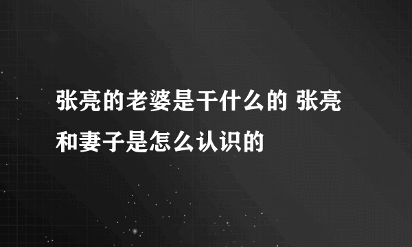 张亮的老婆是干什么的 张亮和妻子是怎么认识的