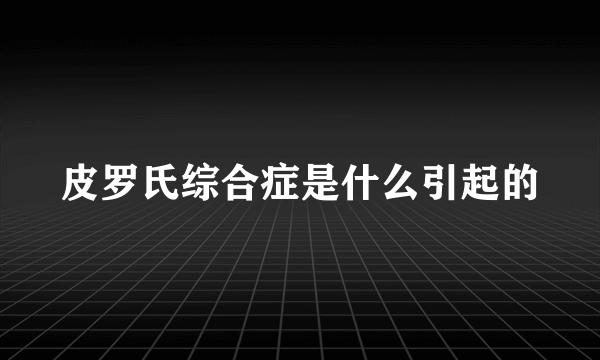 皮罗氏综合症是什么引起的