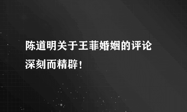 陈道明关于王菲婚姻的评论　深刻而精辟！