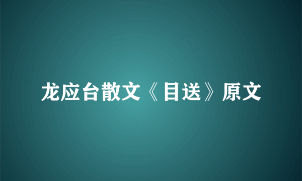 龙应台散文《目送》原文