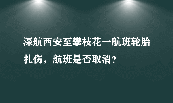 深航西安至攀枝花一航班轮胎扎伤，航班是否取消？