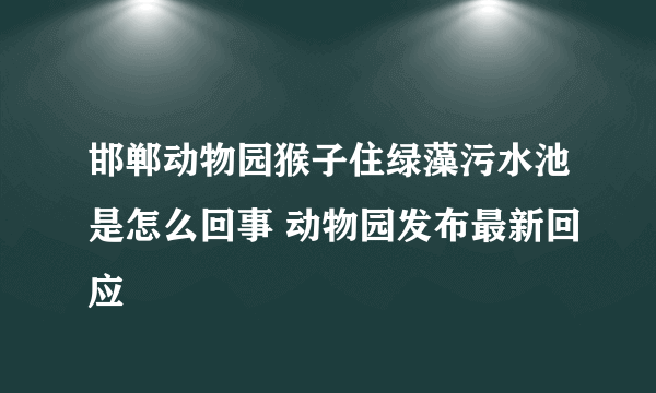 邯郸动物园猴子住绿藻污水池是怎么回事 动物园发布最新回应