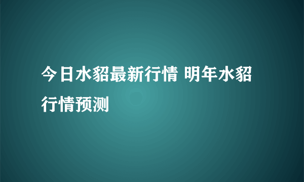 今日水貂最新行情 明年水貂行情预测