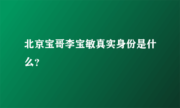 北京宝哥李宝敏真实身份是什么？