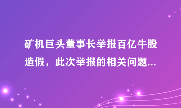 矿机巨头董事长举报百亿牛股造假，此次举报的相关问题是否属实？