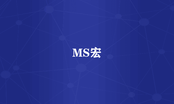 MS宏