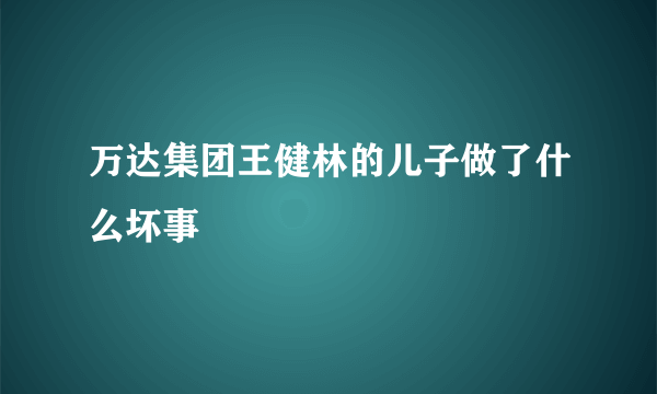 万达集团王健林的儿子做了什么坏事