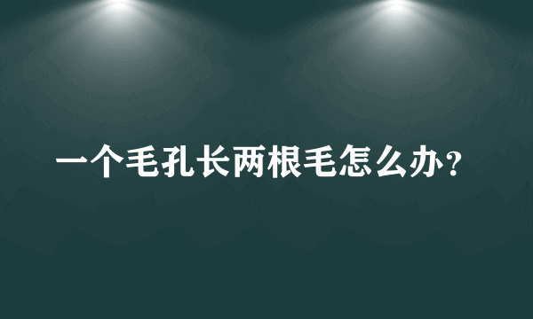 一个毛孔长两根毛怎么办？