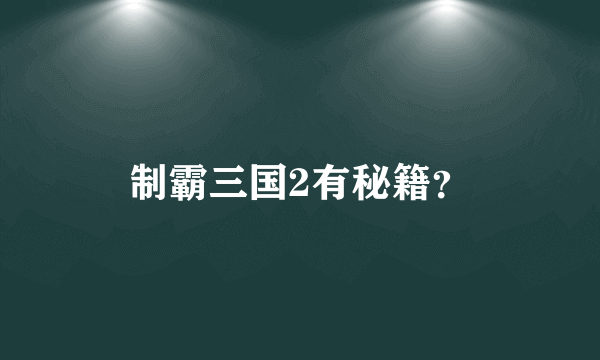 制霸三国2有秘籍？