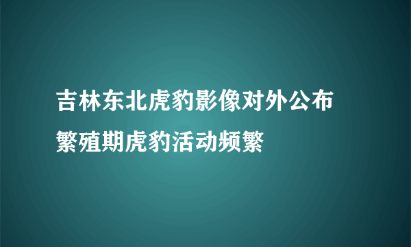 吉林东北虎豹影像对外公布 繁殖期虎豹活动频繁