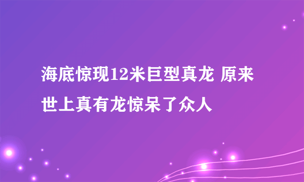 海底惊现12米巨型真龙 原来世上真有龙惊呆了众人