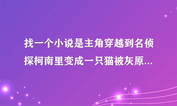 找一个小说是主角穿越到名侦探柯南里变成一只猫被灰原哀（宫野志保形态）收养了主角可以变成人？