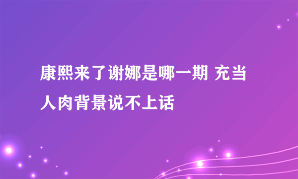 康熙来了谢娜是哪一期 充当人肉背景说不上话