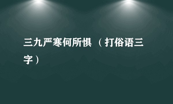 三九严寒何所惧 （打俗语三字）