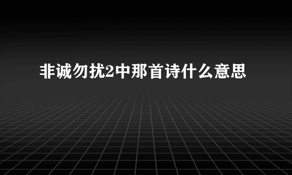 非诚勿扰2中那首诗什么意思