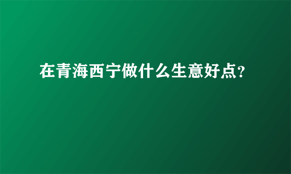 在青海西宁做什么生意好点？