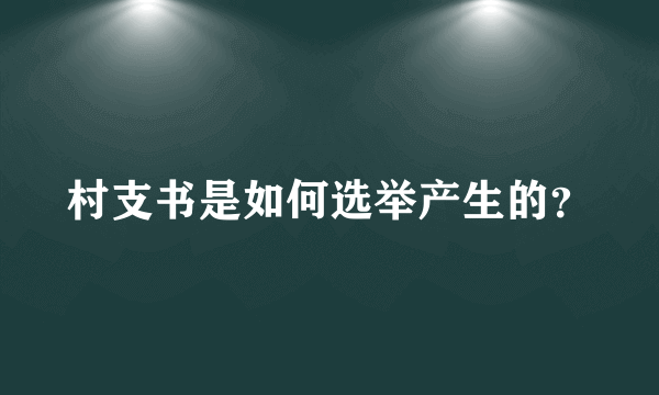 村支书是如何选举产生的？