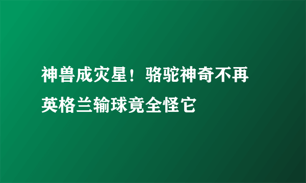 神兽成灾星！骆驼神奇不再 英格兰输球竟全怪它