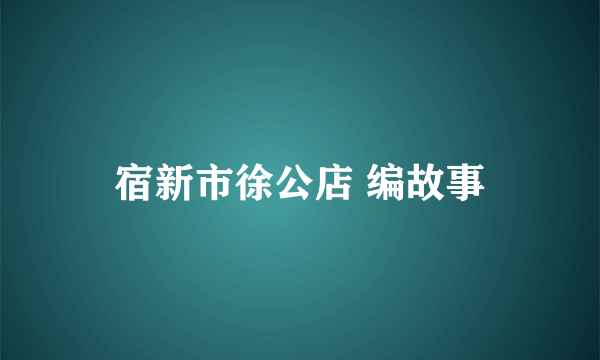 宿新市徐公店 编故事